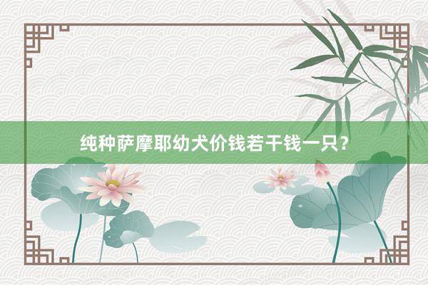 纯种萨摩耶幼犬价钱若干钱一只？