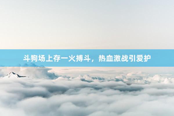 斗狗场上存一火搏斗，热血激战引爱护