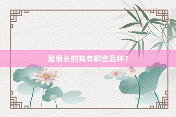 脸很长的狗有哪些品种？