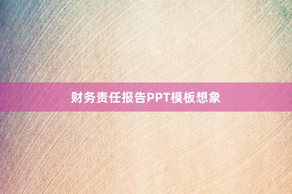 财务责任报告PPT模板想象